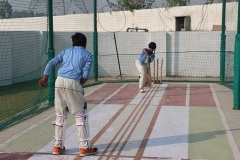cricket3